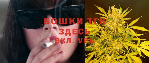 индика Белокуриха