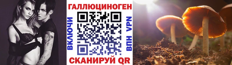 Галлюциногенные грибы ЛСД  где купить наркоту  Демидов 